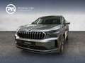 Skoda Kodiaq 4x4 Selection TDI DSG Grau - thumbnail 1