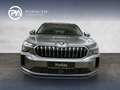 Skoda Kodiaq 4x4 Selection TDI DSG Grau - thumbnail 2