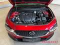 Mazda CX-30 Exclusive-Line 2.0L e-SKYACTIV-G 6MT Rouge - thumbnail 14