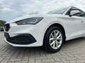SEAT Leon Sportstourer ST Style 1.5 eTSI DSG / Sitzheizung Wit - thumbnail 3