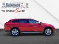 Volkswagen Golf Variant Golf VIII Variant 2.0 TDI ALLTRACK 4MOTION LED STA Rojo - thumbnail 6