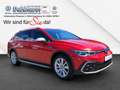 Volkswagen Golf Variant Golf VIII Variant 2.0 TDI ALLTRACK 4MOTION LED STA Rojo - thumbnail 7