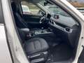Mazda CX-5 CX-5 II 2019 2.2 Signature 2wd 150cv my19 Blanc - thumbnail 14