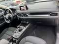 Mazda CX-5 CX-5 II 2019 2.2 Signature 2wd 150cv my19 Blanc - thumbnail 13