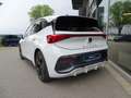 CUPRA Born Born Edition Dynamic 60kWh 231PS Navi ACC Sitzh Di Wit - thumbnail 5