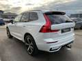 Volvo XC60 T8 Ultimate Dark Plug-In AWD AHK ACC HUD Weiß - thumbnail 5