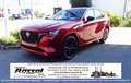 Mazda CX-60 2.5L e-SKYACTIV PHEV 327ps 8AT AWD Homura PANO Rouge - thumbnail 1