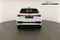 Audi Q5 2.0 TDI quattro 150 kW S-Tronic, neues Modell, ... Weiß - thumbnail 16
