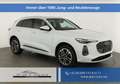 Audi Q5 2.0 TDI quattro 150 kW S-Tronic, neues Modell, ... Weiß - thumbnail 1