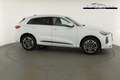 Audi Q5 2.0 TDI quattro 150 kW S-Tronic, neues Modell, ... Weiß - thumbnail 23