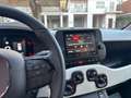 Fiat Panda Cross 1.0 FireFly S&S Hybrid PANDINA 70 CV 5 POSTI Blu/Azzurro - thumbnail 9