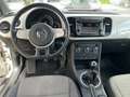 Volkswagen Maggiolino Maggiolino 2011 1.6 tdi Design 105cv Bílá - thumbnail 7