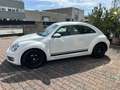 Volkswagen Maggiolino Maggiolino 2011 1.6 tdi Design 105cv Bílá - thumbnail 10