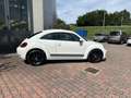 Volkswagen Maggiolino Maggiolino 2011 1.6 tdi Design 105cv Bílá - thumbnail 2