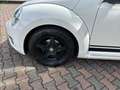 Volkswagen Maggiolino Maggiolino 2011 1.6 tdi Design 105cv Bílá - thumbnail 13