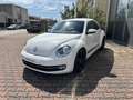 Volkswagen Maggiolino Maggiolino 2011 1.6 tdi Design 105cv Bílá - thumbnail 3