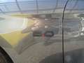 Ford Mustang 5,0 Ti-VCT V8 GT Cabrio Aut. Grau - thumbnail 3