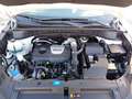 Hyundai TUCSON 1.6 Advantage+ 2WD (OPF) Wit - thumbnail 5