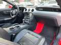Ford Mustang 5.0 Ti-VCT V8 GT*Xenon*Memory*Leder*Kam* Rot - thumbnail 14