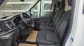Ford Transit 290 L2 Trend ServiceLine/Sortimo+Bott+Winter+SYNC4 Blanc - thumbnail 13