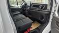 Ford Transit 290 L2 Trend ServiceLine/Sortimo+Bott+Winter+SYNC4 Weiß - thumbnail 14
