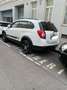 Chevrolet Captiva LT 2,2 4WD DPF - thumbnail 20