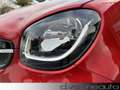 smart forFour 0.9 t Prime 90cv Full Optional -km 58229 Reali Rouge - thumbnail 2