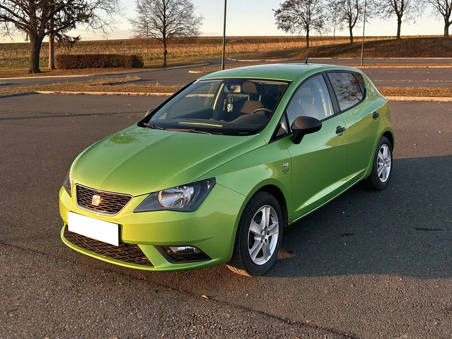 SEAT Ibiza Ibiza Reference 1,2 Reference Зелёный - 1