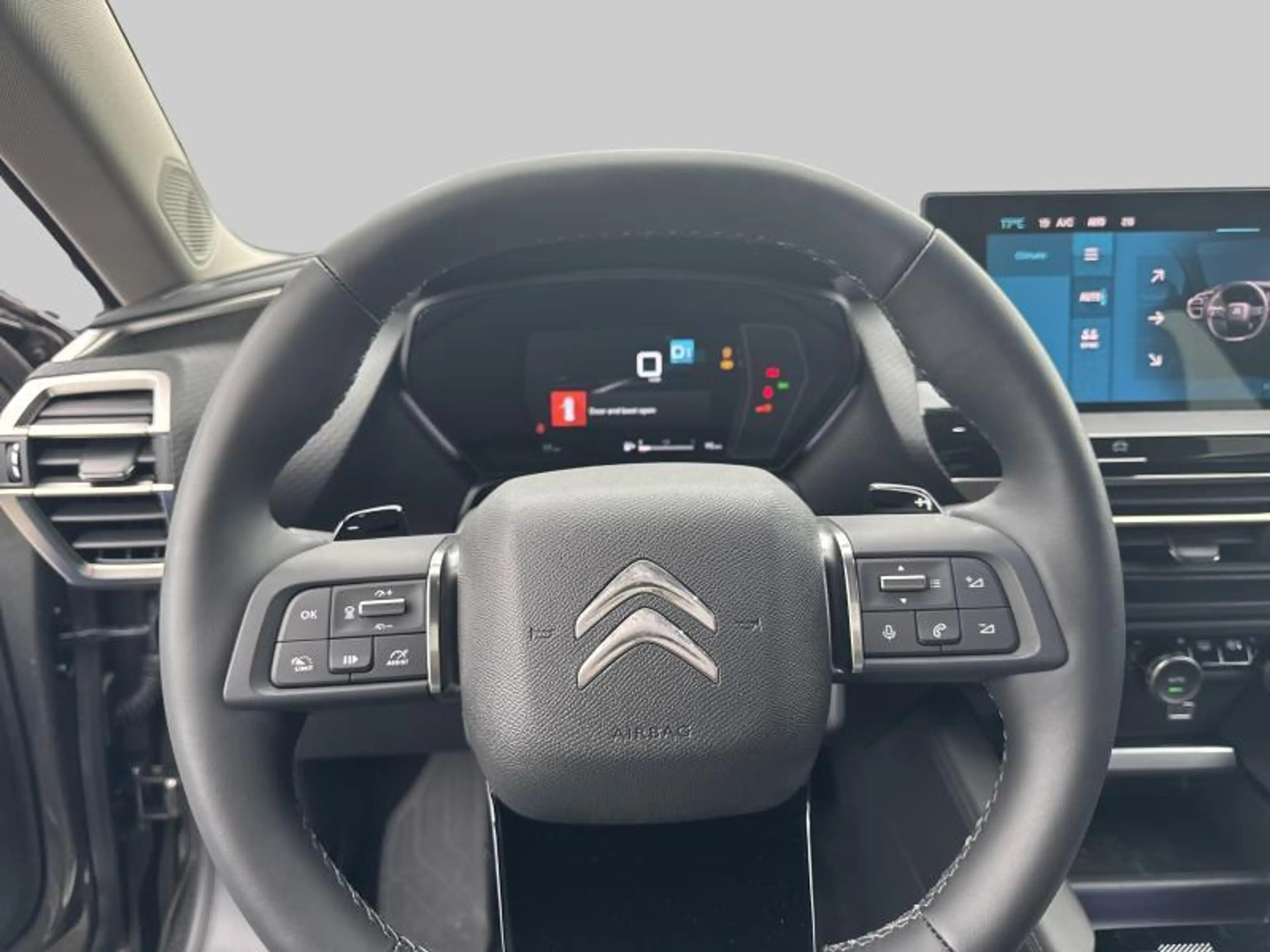 Citroen C5 X Shine — photo 14