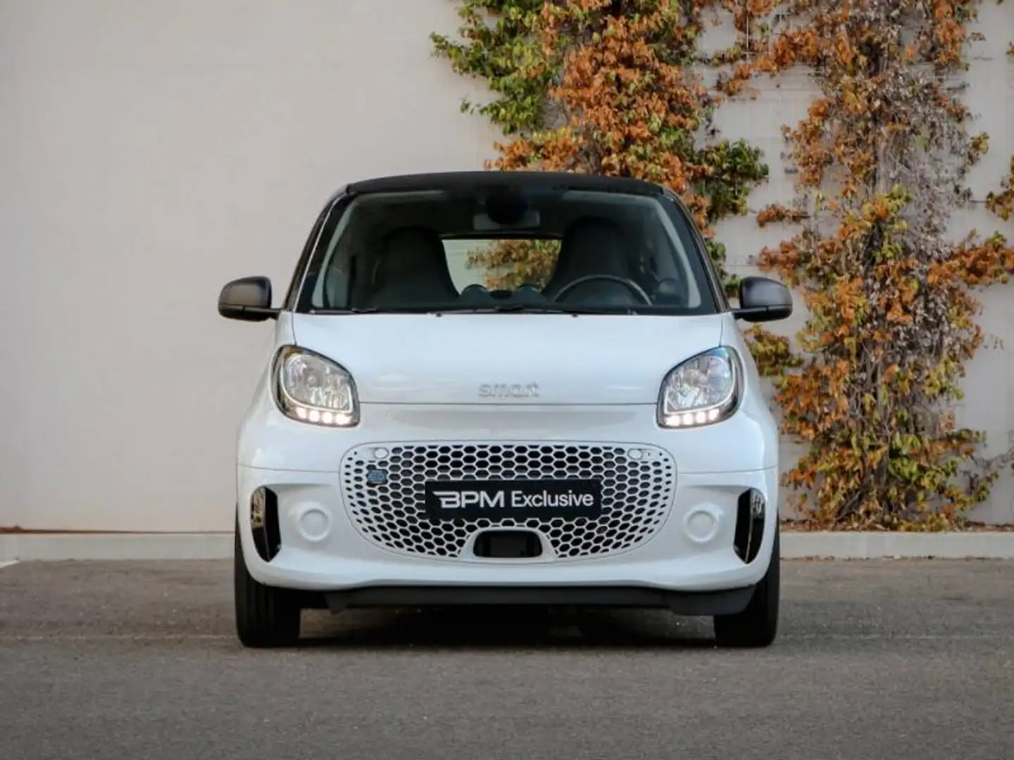 smart forTwo EQ 82ch passion Blanc - 2