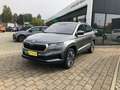 Skoda Karoq Tour 1.5 TSI AHZV Matrix-LED SmartLink RFK Grau - thumbnail 2