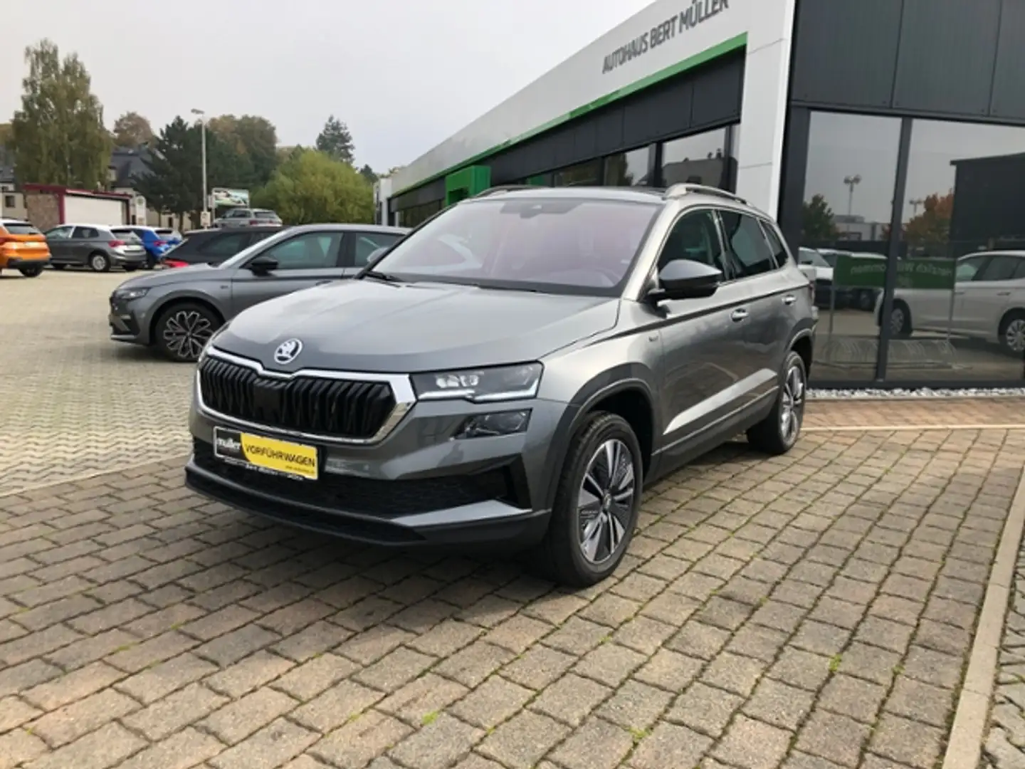 Skoda Karoq Tour 1.5 TSI AHZV Matrix-LED SmartLink RFK Grau - 2