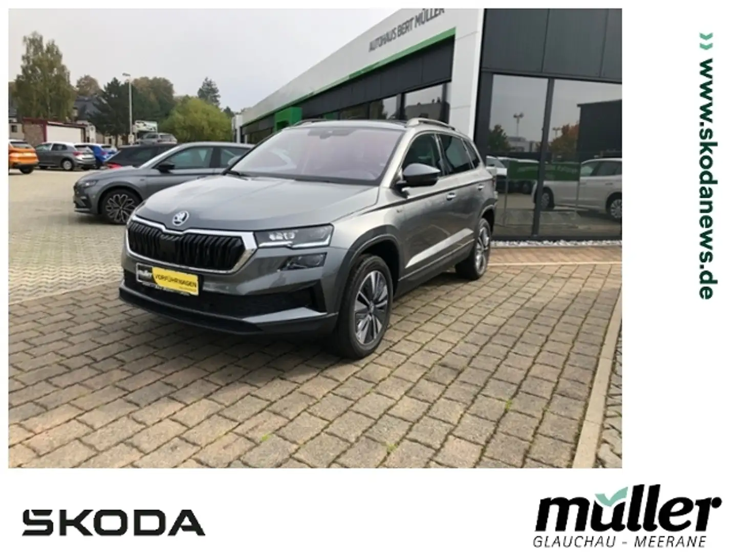 Skoda Karoq Tour 1.5 TSI AHZV Matrix-LED SmartLink RFK Gris - 1