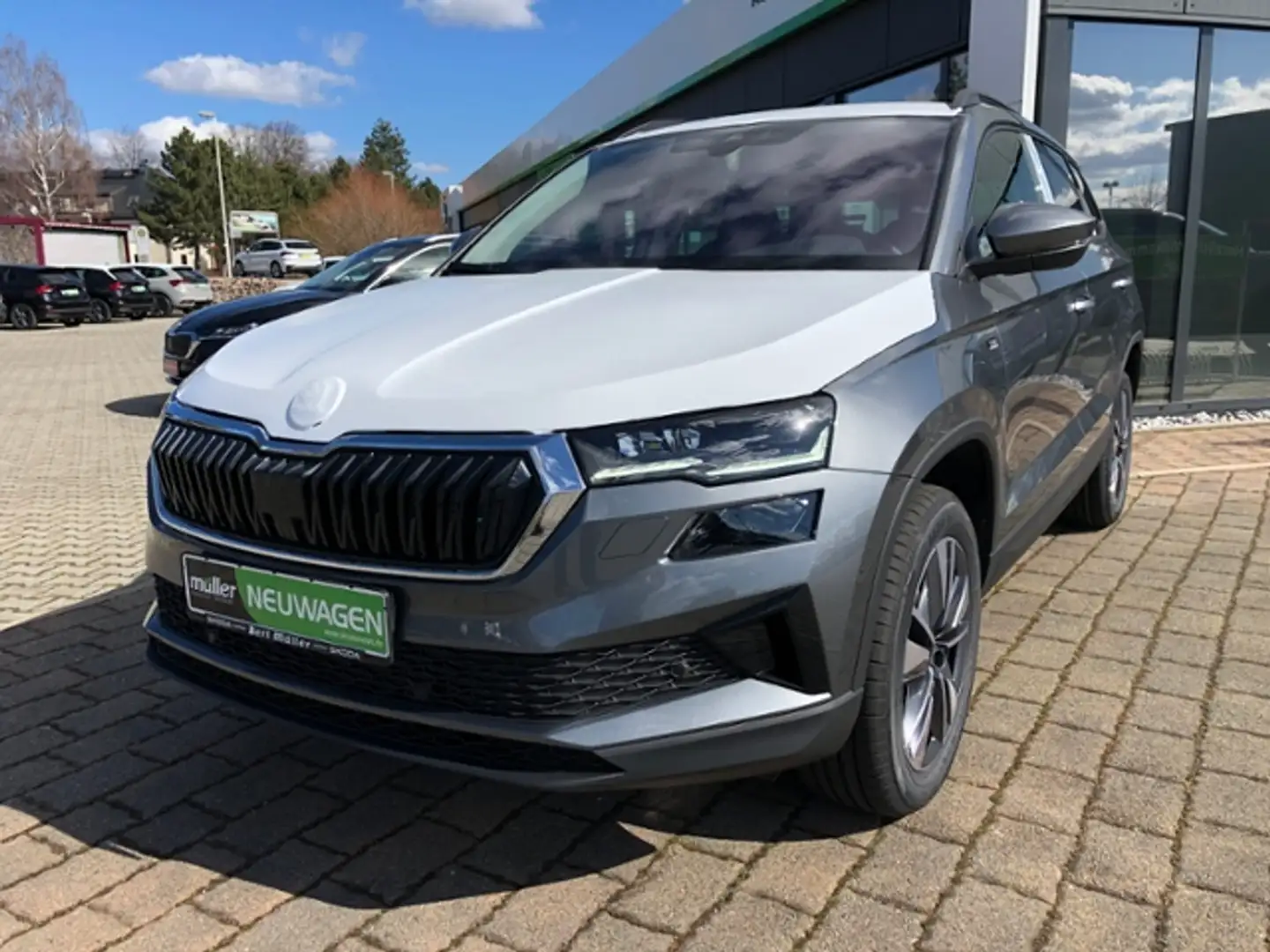 Skoda Karoq Tour 1.5 TSI AHZV Matrix-LED SmartLink RFK Grijs - 2