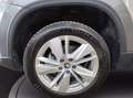 Skoda Karoq 1.0 tsi selection 115cv Gri - thumbnail 19