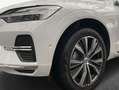 Volvo XC60 T8 AWD Recharge Geartronic Inscription Blanc - thumbnail 5