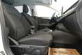 Ford Focus Turnier 1.5 EcoBl. Aut. "Titanium"  LED*SITZH*NAVI Weiß - thumbnail 19