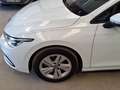 Volkswagen Golf 2.0TDI Life DSG 85kW - thumbnail 9