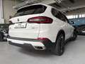 BMW X5 X5 G05 xdrive30d mhev 48V sport auto Bianco - thumbnail 7