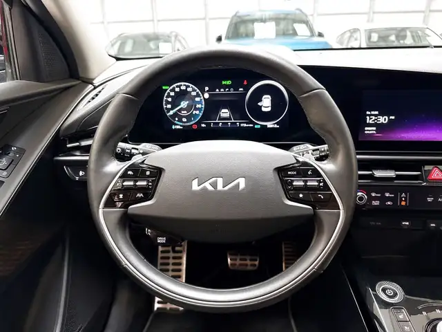 Kia e-Niro view 10
