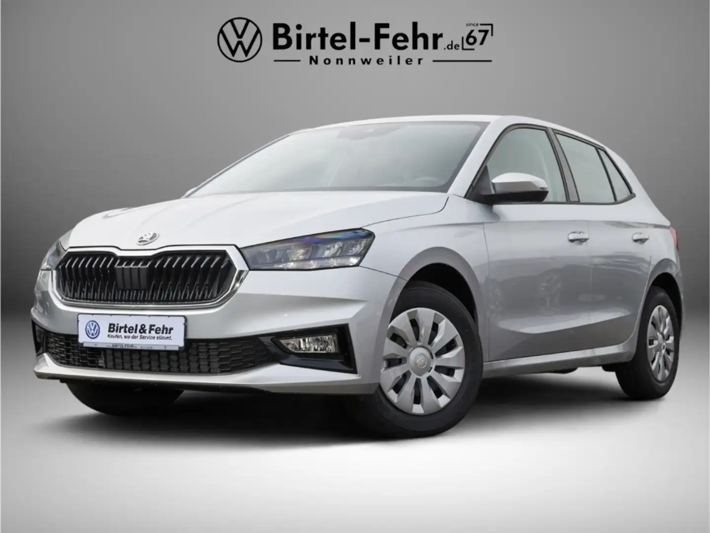 Skoda Fabia Selection Plus 1.0 TSI DSG LED Silber - 1