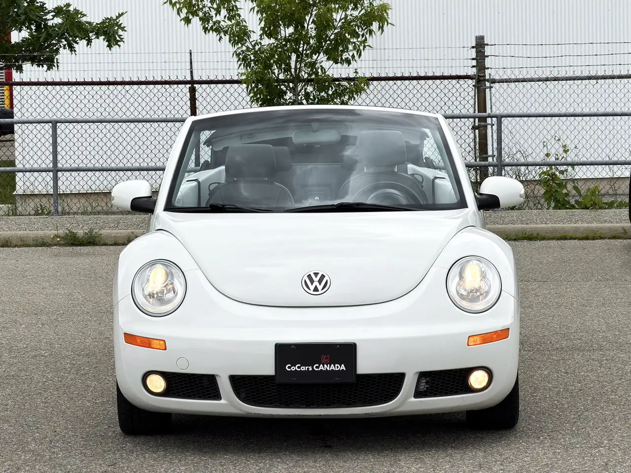 Volkswagen Beetle photo Volkswagen Beetle