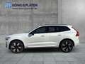 Volvo XC60 T6 AWD Plus Dark Plug-In (EURO 6d) Klima Leder Weiß - thumbnail 3