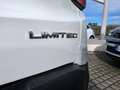Jeep Renegade Renegade 2019 1.0 t3 Limited 2wd Bianco - thumbnail 8
