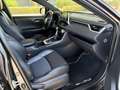 Toyota RAV 4 2.5 hybrid 4WD Style Gris - thumbnail 11