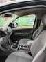 Volkswagen Amarok Basis DoubleCab Grün - thumbnail 9