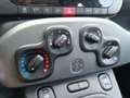 Fiat Panda 1.0 Gse City Cross Hybrid Blanco - thumbnail 16