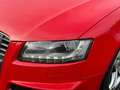 Audi S5 Cabriolet 3.0 TFSI Quattro ABT*Leder*Xenon* Rot - thumbnail 14