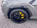 Lamborghini Urus 4.0 V8 Carbon/ Garantie Gris - thumbnail 14