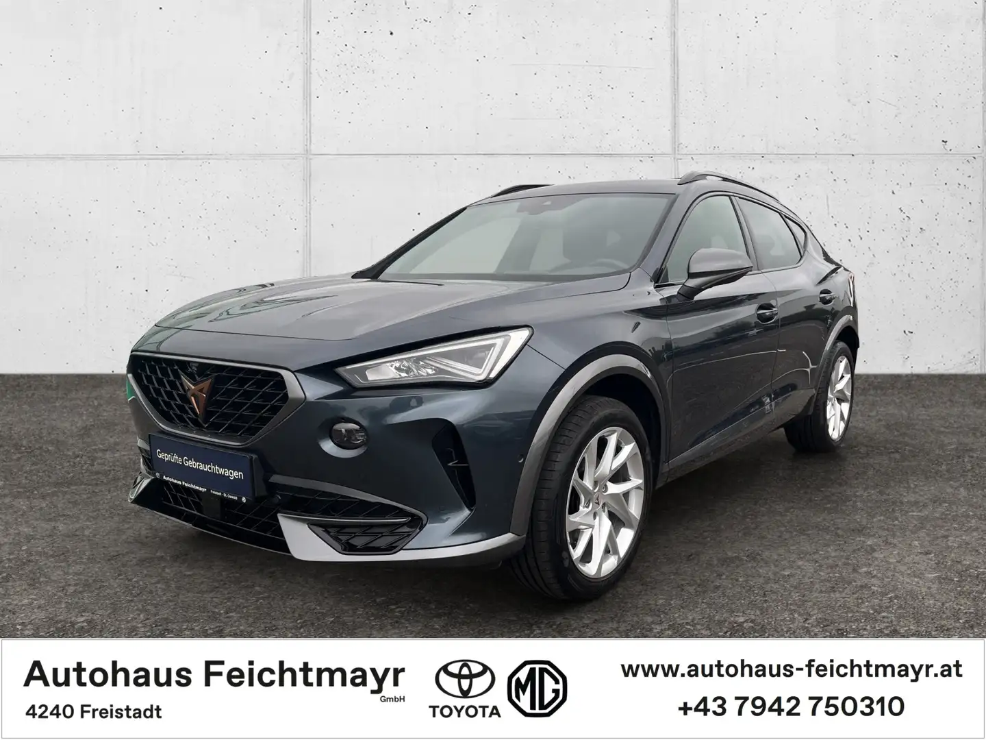 CUPRA Formentor 2,0 TDI 4Drive DSG 5t. Grau - 1